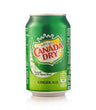 Canada Dry, Ginger Ale, Various Sizes, 1 unit